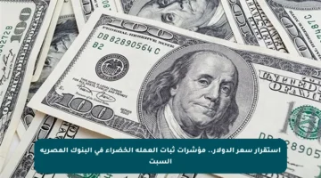 استقرار سعر الدولار.. مؤشرات ثبات العملة الخضراء في البنوك المصرية السبت